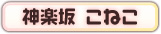 神楽坂 こねこ